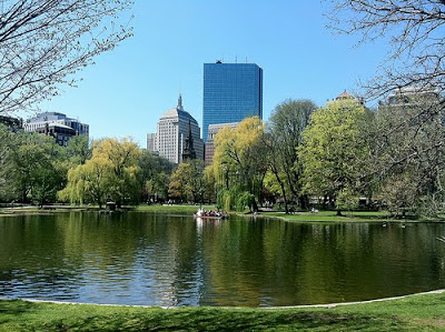 Twitchhiker-Public-Garden-Boston